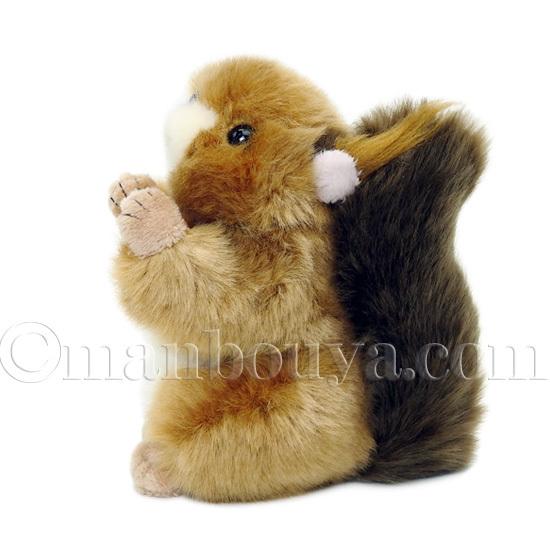 リス ぬいぐるみ 動物 キュート販売 CUTE 日本リス SS 12cm : まんぼう