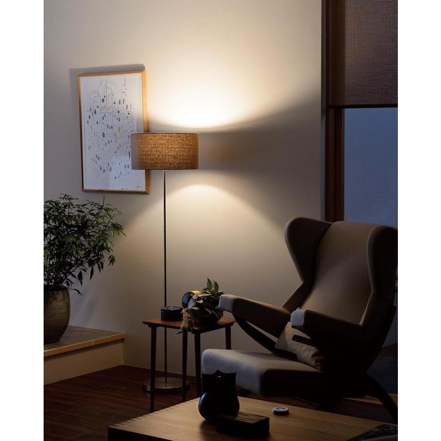 ODELIC（オーデリック） スタンドライト 【OT265032LR】【OT 265 032LR