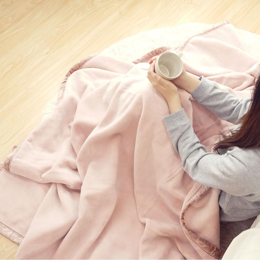 毛布 シングル 日本製 NIKKE インビスタ ダクロン マイクロマティーク