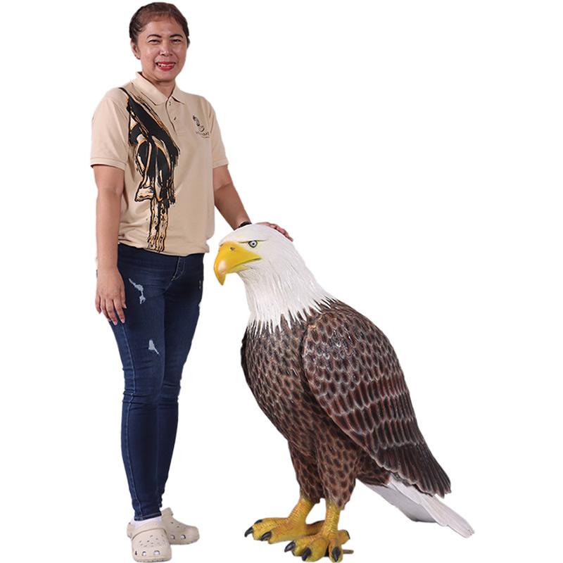 大きなハクトウワシ アメリカンイーグル 猛禽類 鳥 実物大 リアル