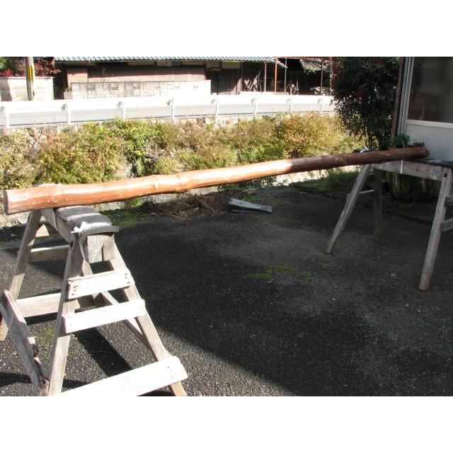 変木 サルスベリ 3000x82~85~97 : めいぼくや webshop - 通販 - Yahoo