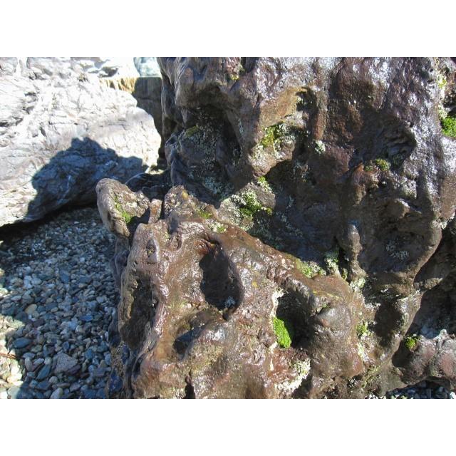 貴船石 庭石 自然石 天然石 和風 庭園 飾り石 石庭 景石 銘石 : 銘石