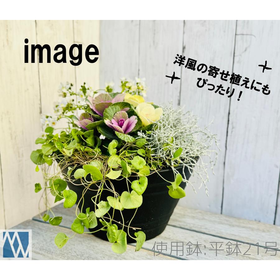 植木鉢 プラ鉢 セラアート 平鉢 39号 : MEIWACO Yahoo!ショップ - 通販