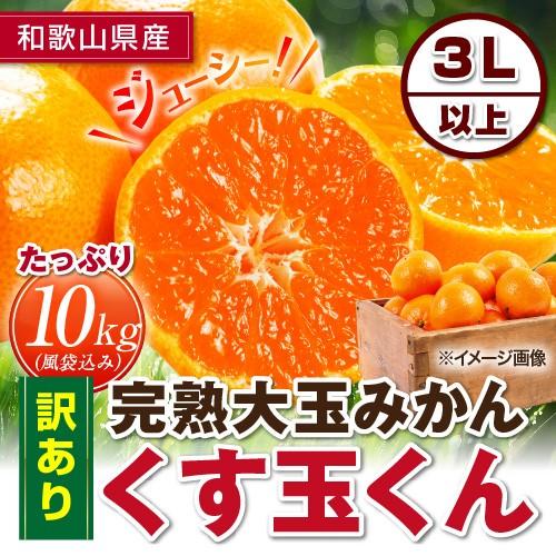 完熟みかん くす玉くん大玉 産地直送 訳あり 箱買い 家庭用 和歌山県