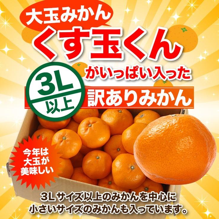 大玉 みかん 10kg くす玉くん 直送 訳あり 有田 送料無料 10キロ 安い