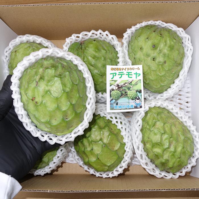 アテモヤ 優品 2kg（6〜9玉) 高級フルーツ 森のアイスクリーム 12月