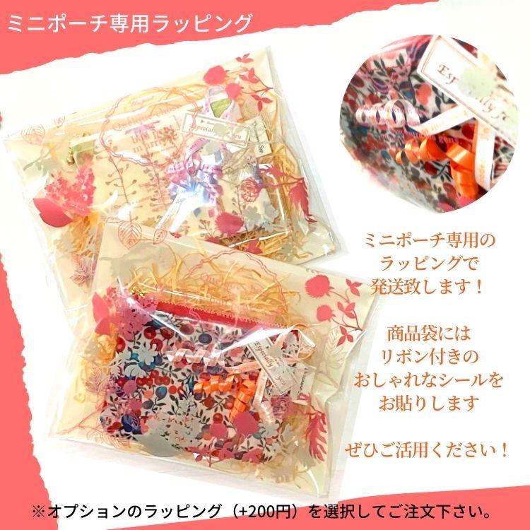 ミニポーチ・ラミネート【リバティ】☆Dracaena Spp./ラミネート加工の