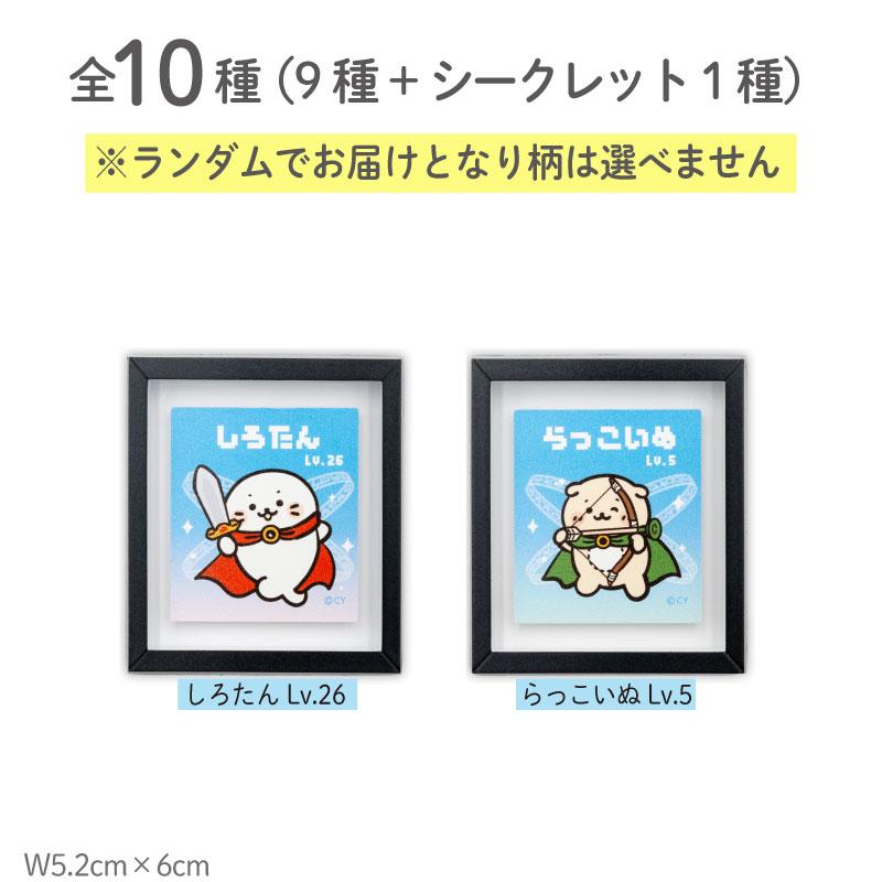 Mother garden（マザーガーデン） しろたん クエストフレーム