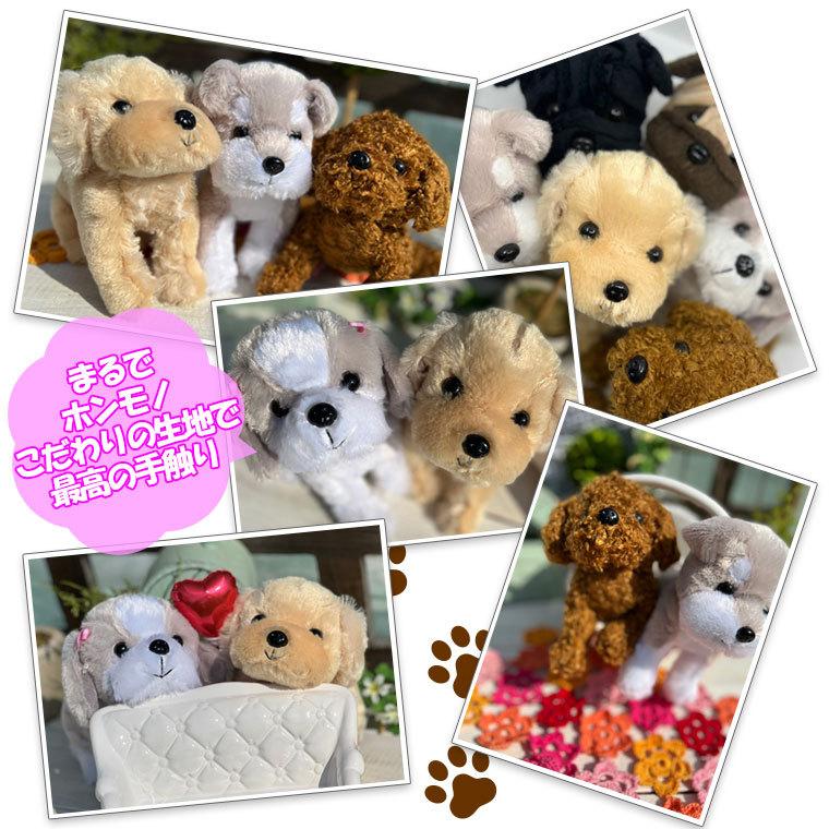 わんプチセット プリザーブドフラワー ぬいぐるみ 犬 プリザ 花 ギフト