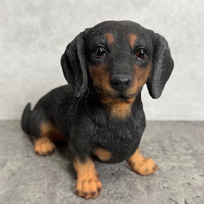 置物 犬 かわいい 動物 玄関 お座りダックスフンド ブラックタン