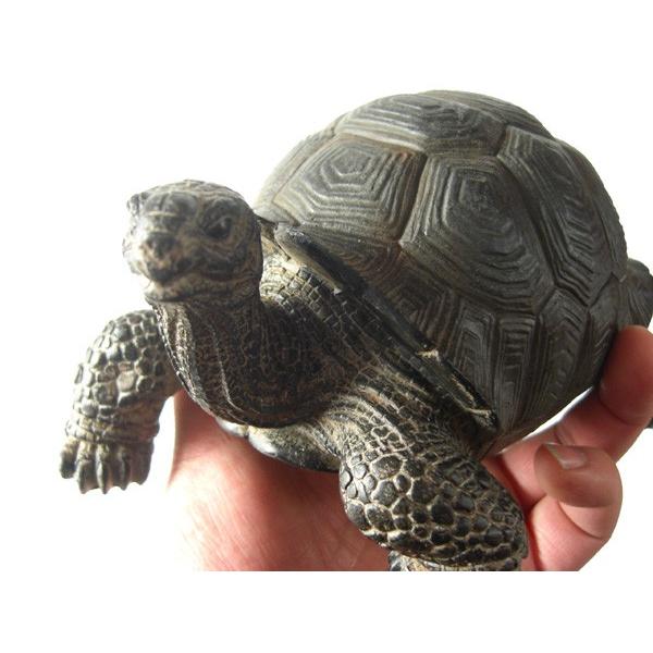 亀 カメ 置物 ペットバンク トータス Pet Bank TORTOISE : インテリア