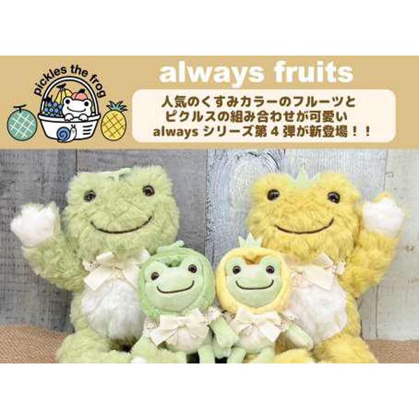 206671-88 かえるのピクルス always fruits BD ビーンドール パイン