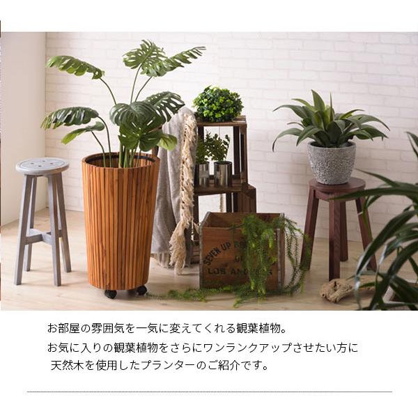 キャスター付き プランターカバー L トールサイズ 木製 おしゃれ 天然