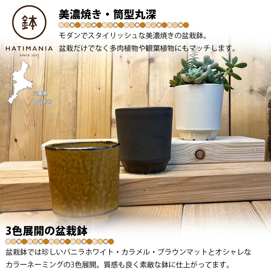 HATIMANIA 鉢マニア 筒型丸深鉢 2.5号 盆栽鉢 日本製 美濃焼 水が抜け