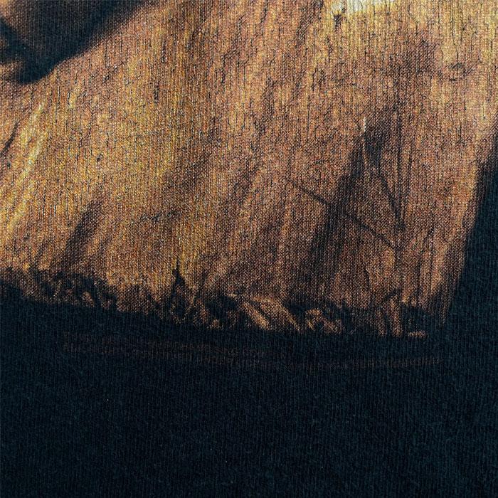 90's VAN HALEN BALANCE Tour T-Shirt Made in USA 90年代 ヴァン