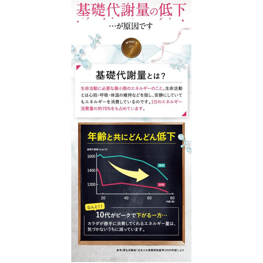 Re-CABO リカボ 30粒 サプリ サプリメント ダイエット サポート