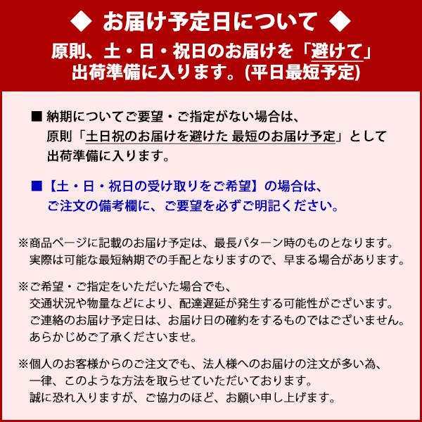 nana CLT-140(L) 訂正用ラベルシール 1袋 100シート入 A4 140面 28