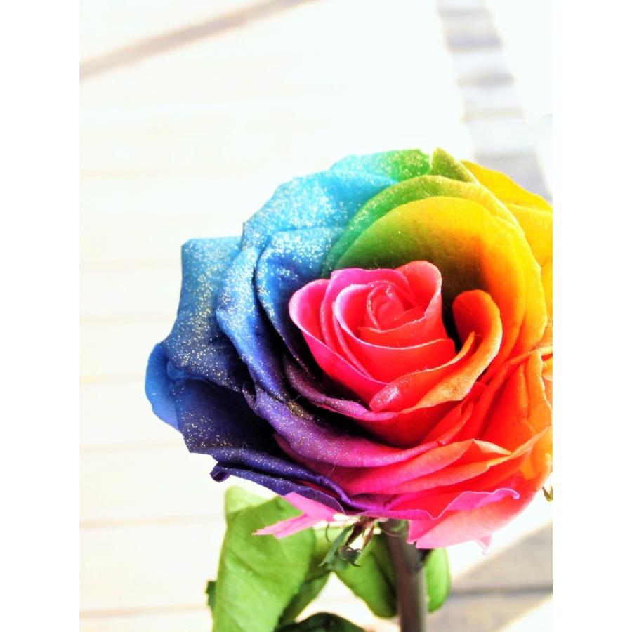 プリザーブドフラワー レインボーローズ ビッグサイズ 茎まで