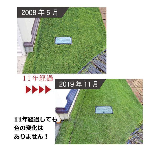 人工芝 リアリーターフ ヨーロピアンロング RET40FR-1-10ERP 40mm 幅1m