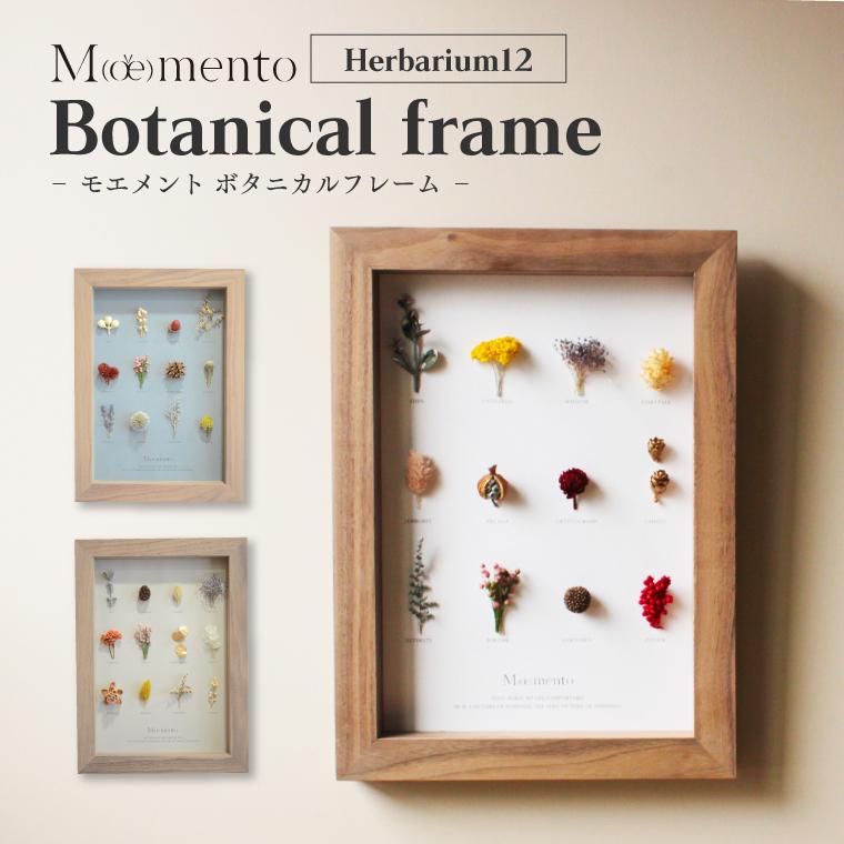 フラワーフレーム Moemento ドライフラワー お花付 飾れる Herbarium12