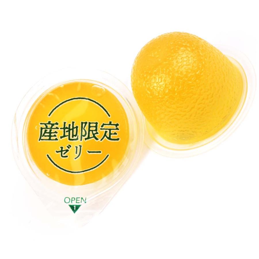 春・夏限定】静岡三ヶ日みかんゼリー（20袋入) 駄菓子 まとめ買い