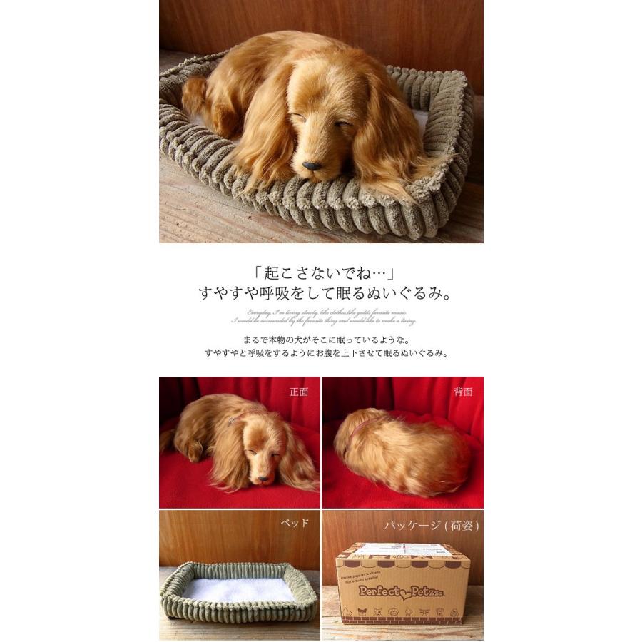 ニニアンドキノ パーフェクトペット (小サイズ) ダックス ロング