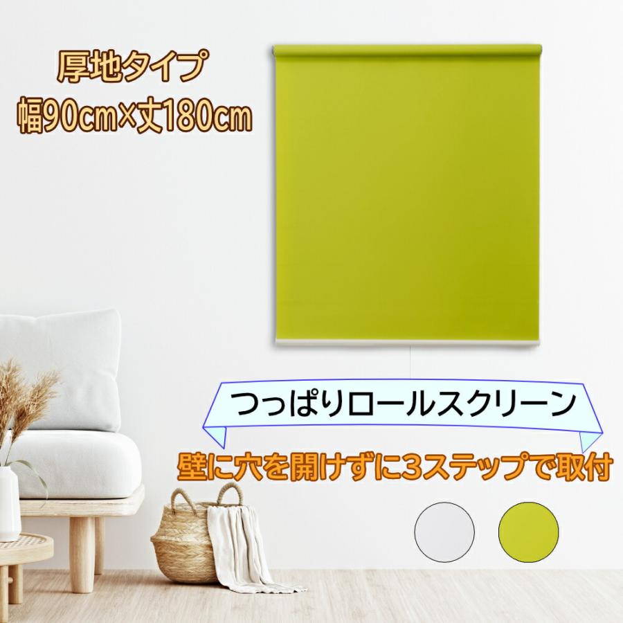 立川機工 ロールスクリーン ロールカーテン つっぱり テンションタイプ