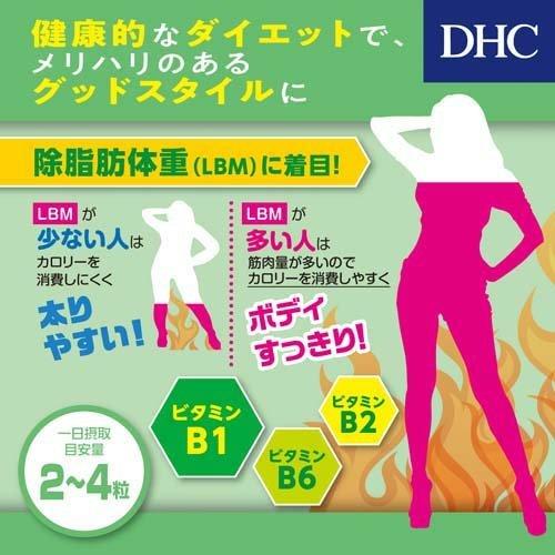 DHC フォースコリー 20日分 ( 80粒 )/ DHCサプリメント ダイエット