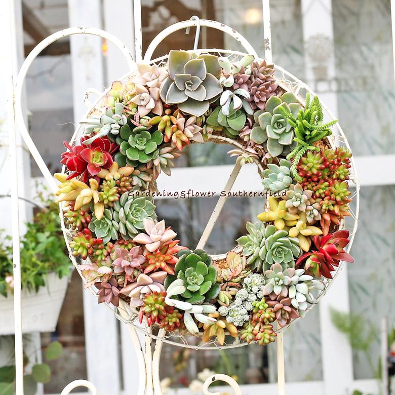 多肉植物寄せ植え おしゃれ ギャザリングリース30cm 開店祝い 誕生日
