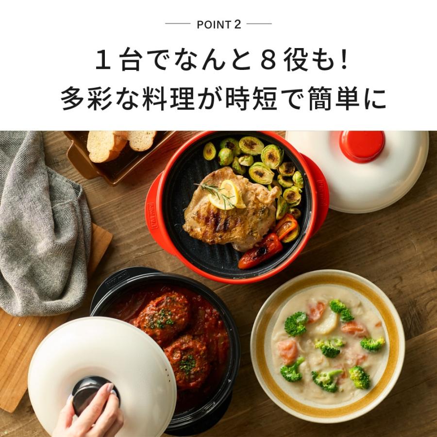RANGEMATE（レンジメート） 送料無料 レンジメートプロ 電子レンジ専用