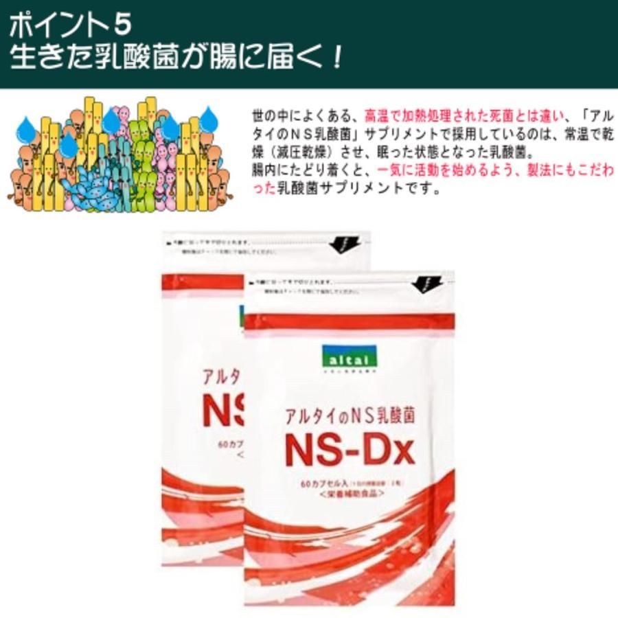 アルタイのNS乳酸菌「新NS-Dx」 : SandS-market - 通販 - Yahoo