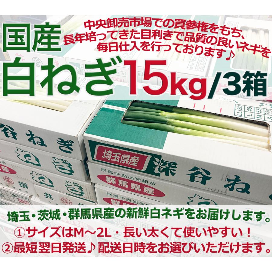 国産長ねぎ 約15kg（5kg×3箱）M〜2Lサイズ 関東地区産地 厳選白ネギ