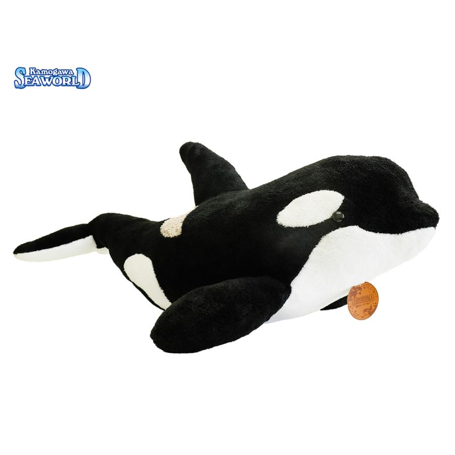 鴨川シーワールドオリジナルシャチ3L（大きさ100cm） : 鴨川シー
