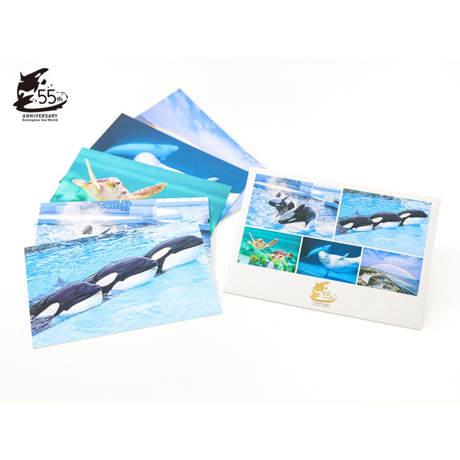 鴨川シーワールドオリジナル 55周年記念 ポストカードセット : 鴨川