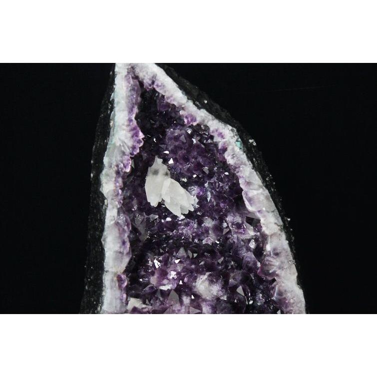 完全予約品:☆ご予約品 ご注文から3ヵ月後の発送予定ty☆25.3Kg