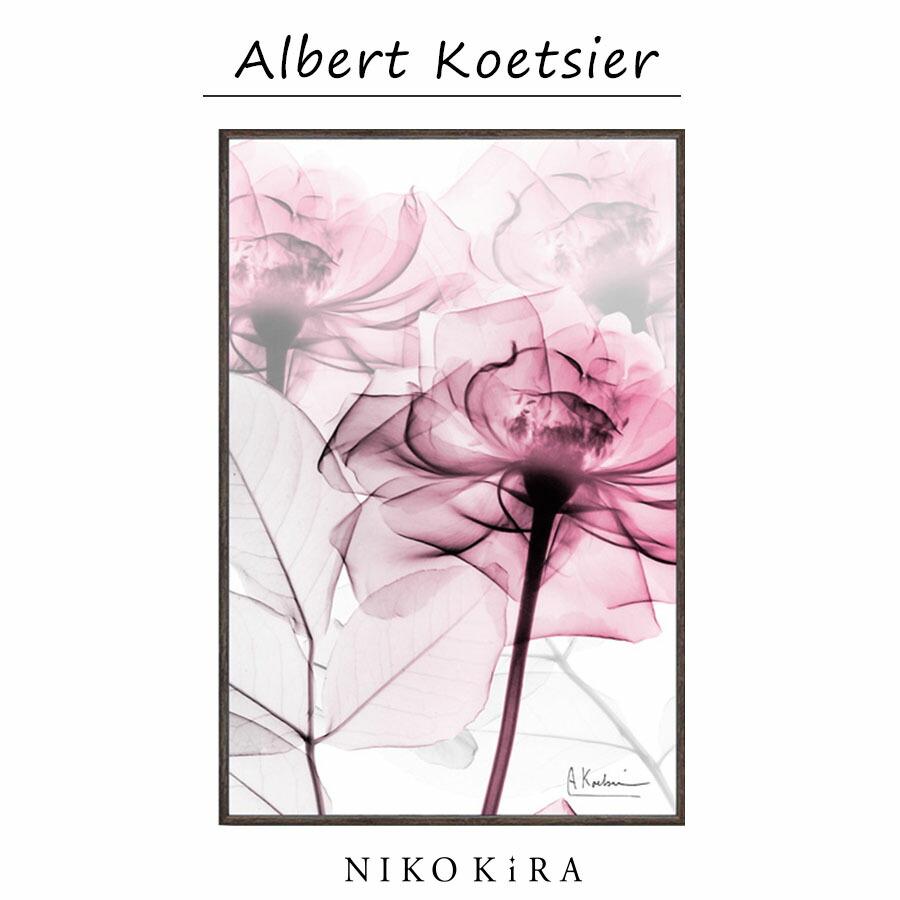 X RAY キャンバスアート ピンクローズ 絵画 インテリア 玄関 絵 アート