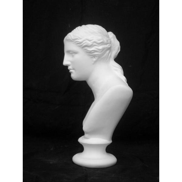 A−351 ミロ島ヴィーナス胸像（小） : 石膏像ドットコム - 通販