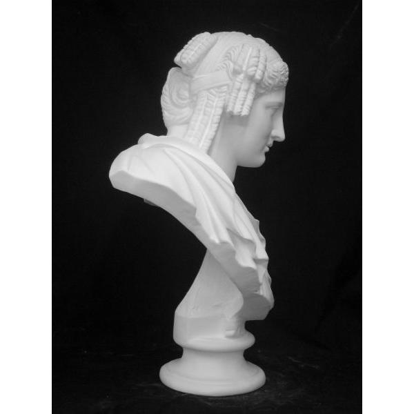 K−107 パジャント胸像（ベレニケ） : 石膏像ドットコム - 通販