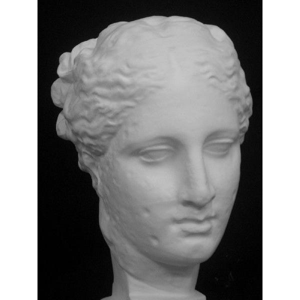 S−204 古代ヴィーナス首像（アバタのヴィーナス） : 石膏像ドット