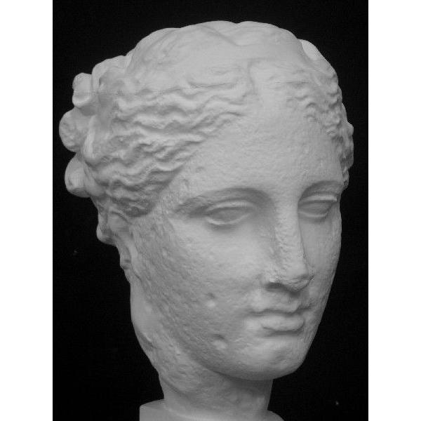 S−205 古代ヴィーナス首像（アバタのヴィーナス）（特） : 石膏像