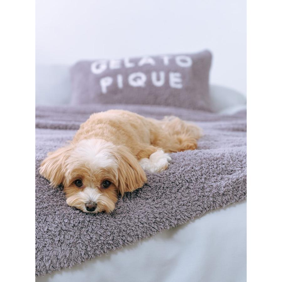 gelato pique（ジェラートピケ） gelato pique Sleep ジェラート