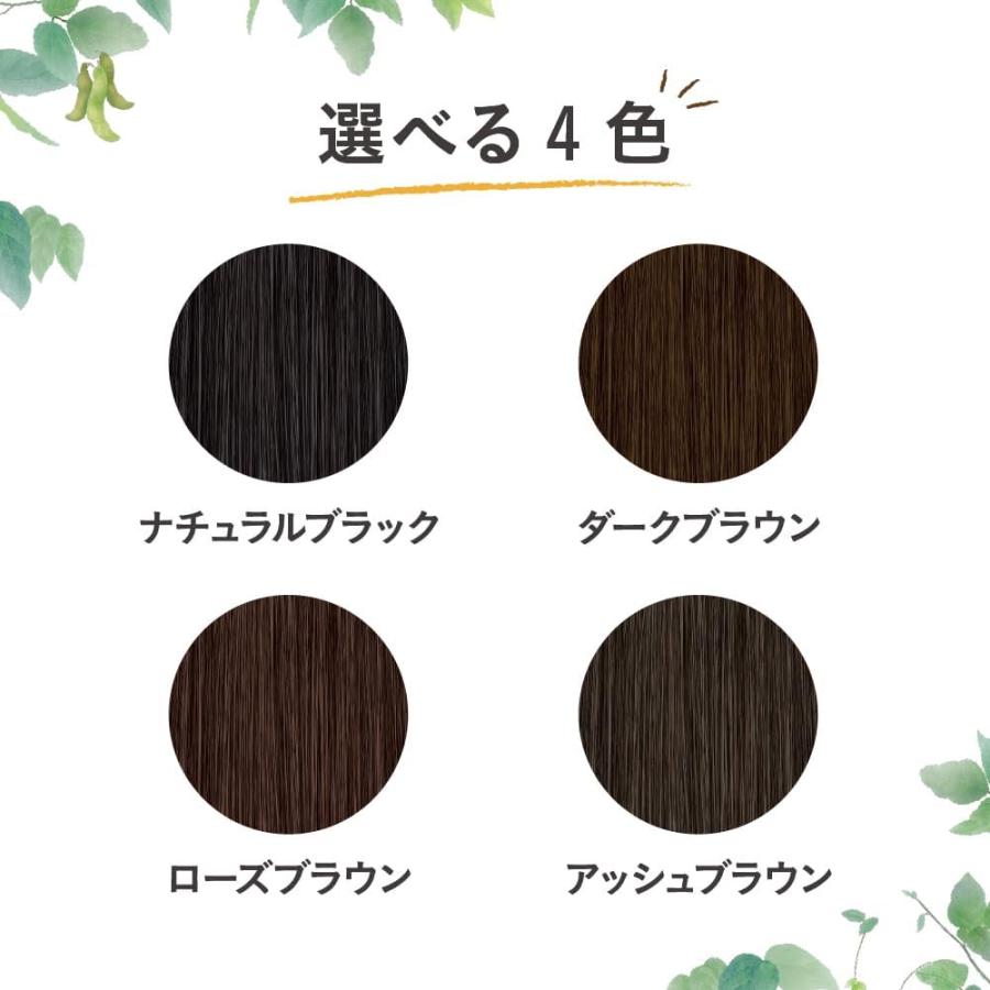 ブローネ 花王 ナチュリラ 色長持ちカラートリートメント つけかえ用