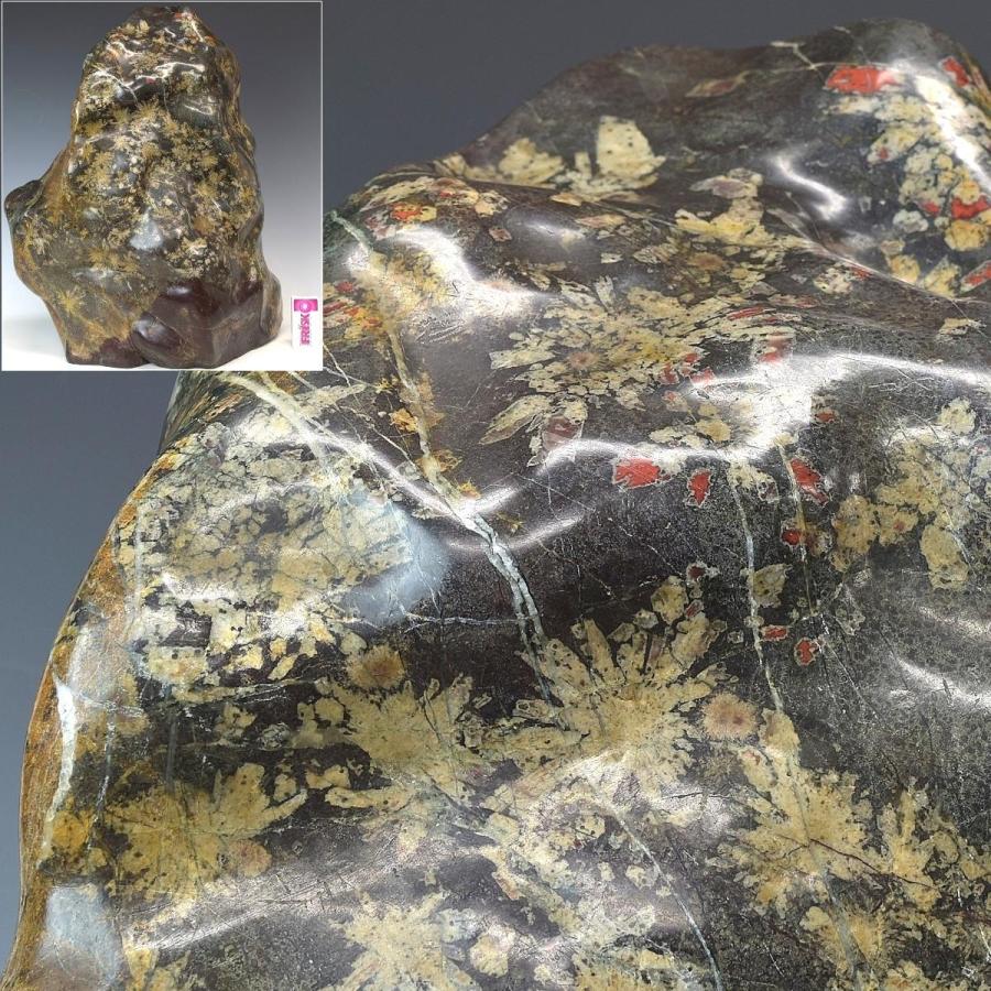 趣楽】 希少 国産 天然特大菊花石 高さ49cm 重量45，1kg 本物