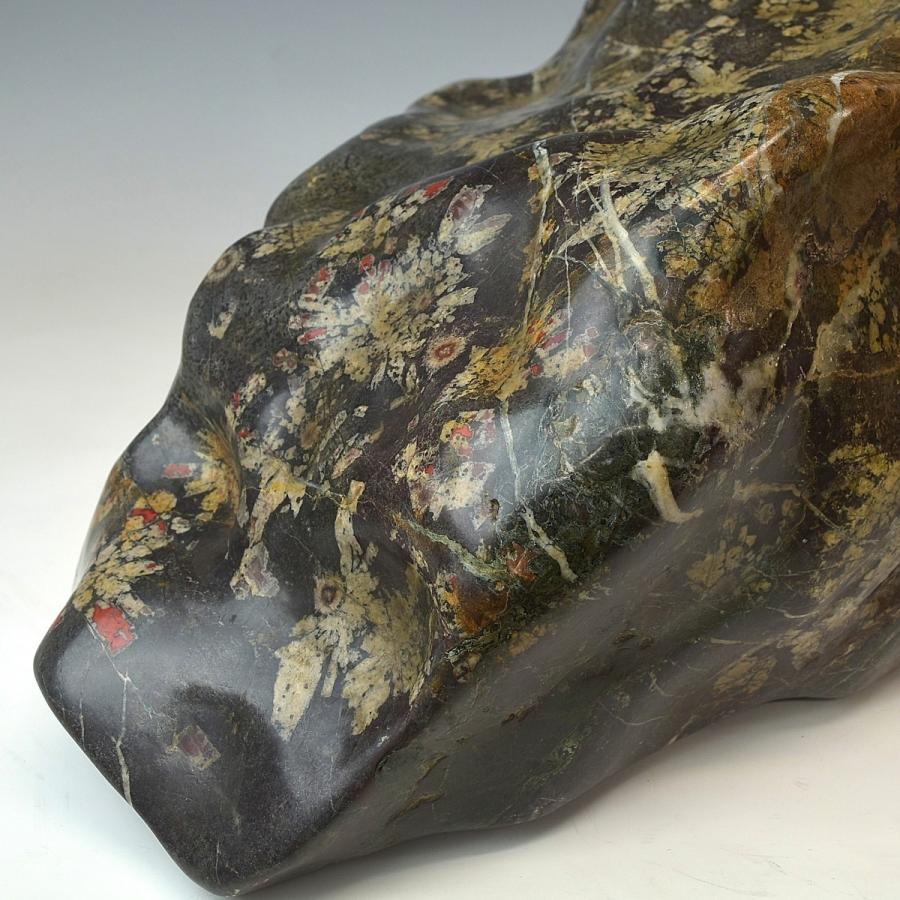 菊花石 特大 石 菊花石 特大 石 菊花石 特大 石