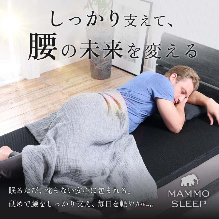 GOKUMIN ゴクミン ストレートマットレス ダブル 超高反発 メッシュ