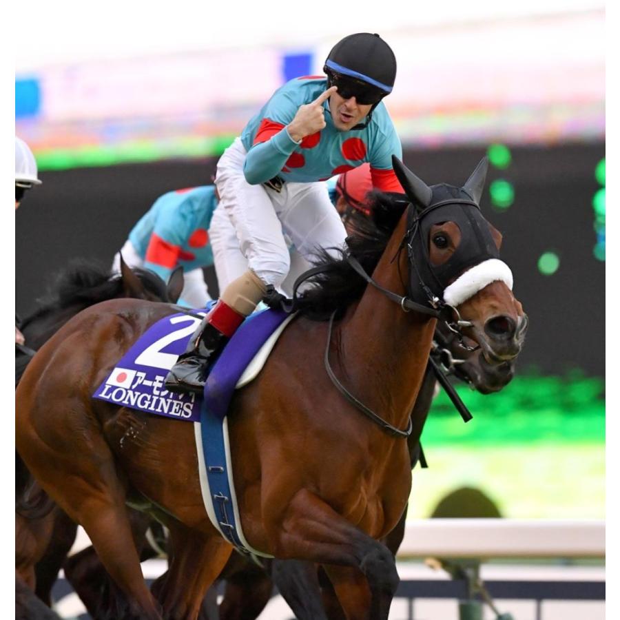 アーモンドアイ（9冠メモリアル） ぬいぐるみ Sサイズ アイドルホース