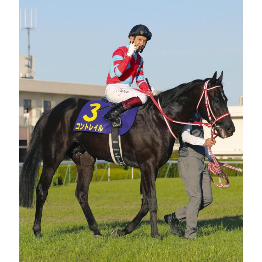 コントレイル ぬいぐるみ Mサイズ アイドルホース 第41回ジャパン