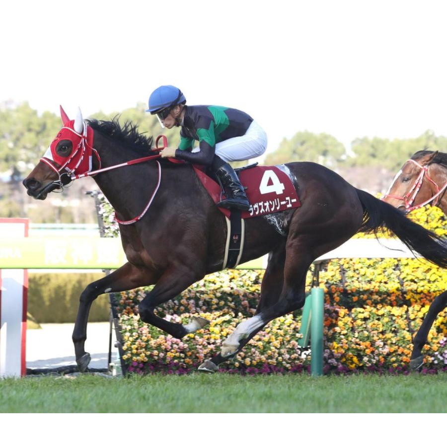 ラヴズオンリーユー ぬいぐるみ Mサイズ アイドルホース 21BCフィリー