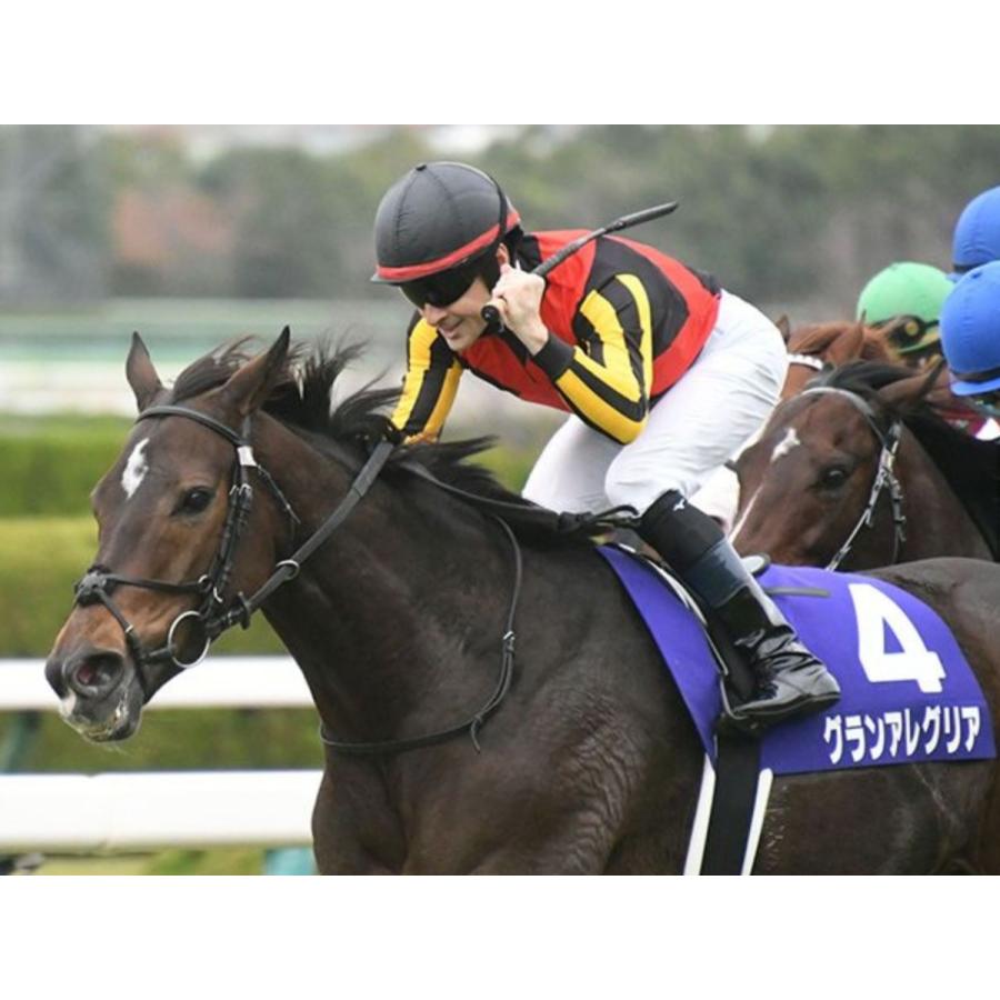 グランアレグリア ぬいぐるみ Sサイズ アイドルホース 第38回マイルCS