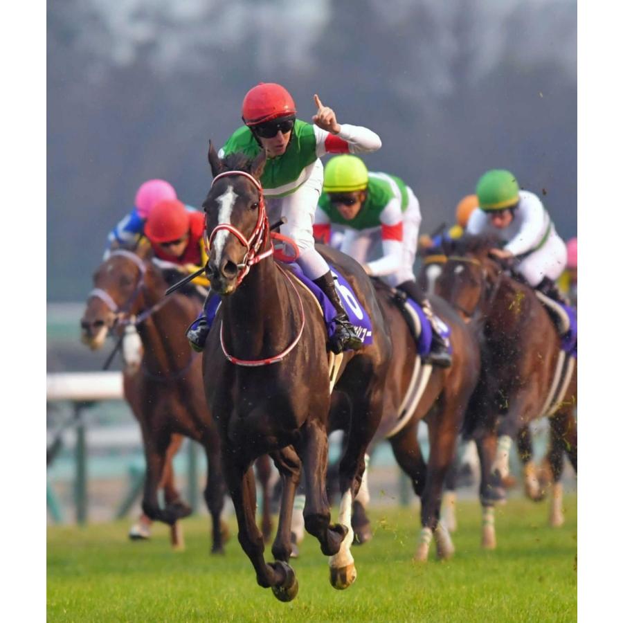 リスグラシュー ぬいぐるみ Sサイズ アイドルホース 第64回有馬記念